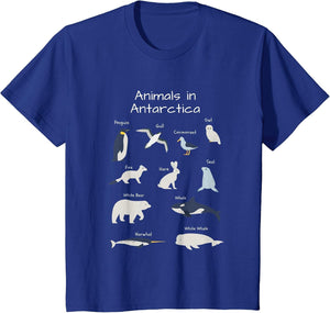 Antarctica Animals Narwhal Bear Penguin Seal Whale Owl Fox