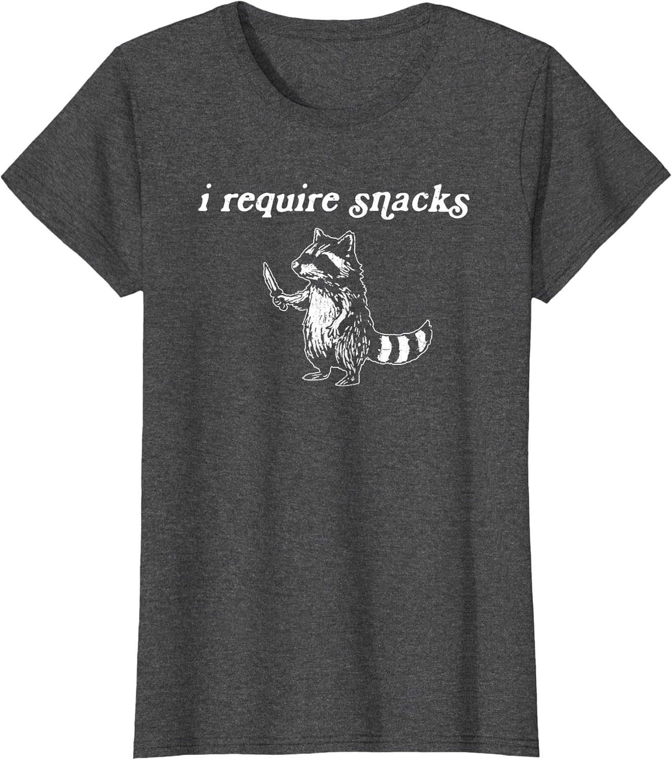 I Require Snacks Fat Raccoon, Funny Raccoon Goblincore