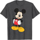 Disney Mickey and Friends Mickey Mouse Classic Pose , Men, Dark Heather Grey, 5X-Large