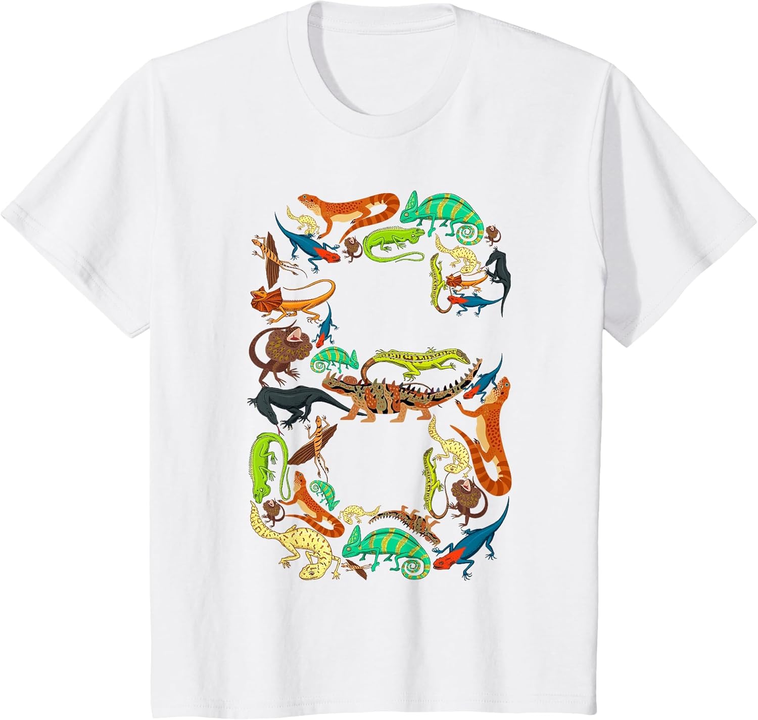 Kids 6th Birthday Reptiles Lizards Theme 6 Year Old Boys