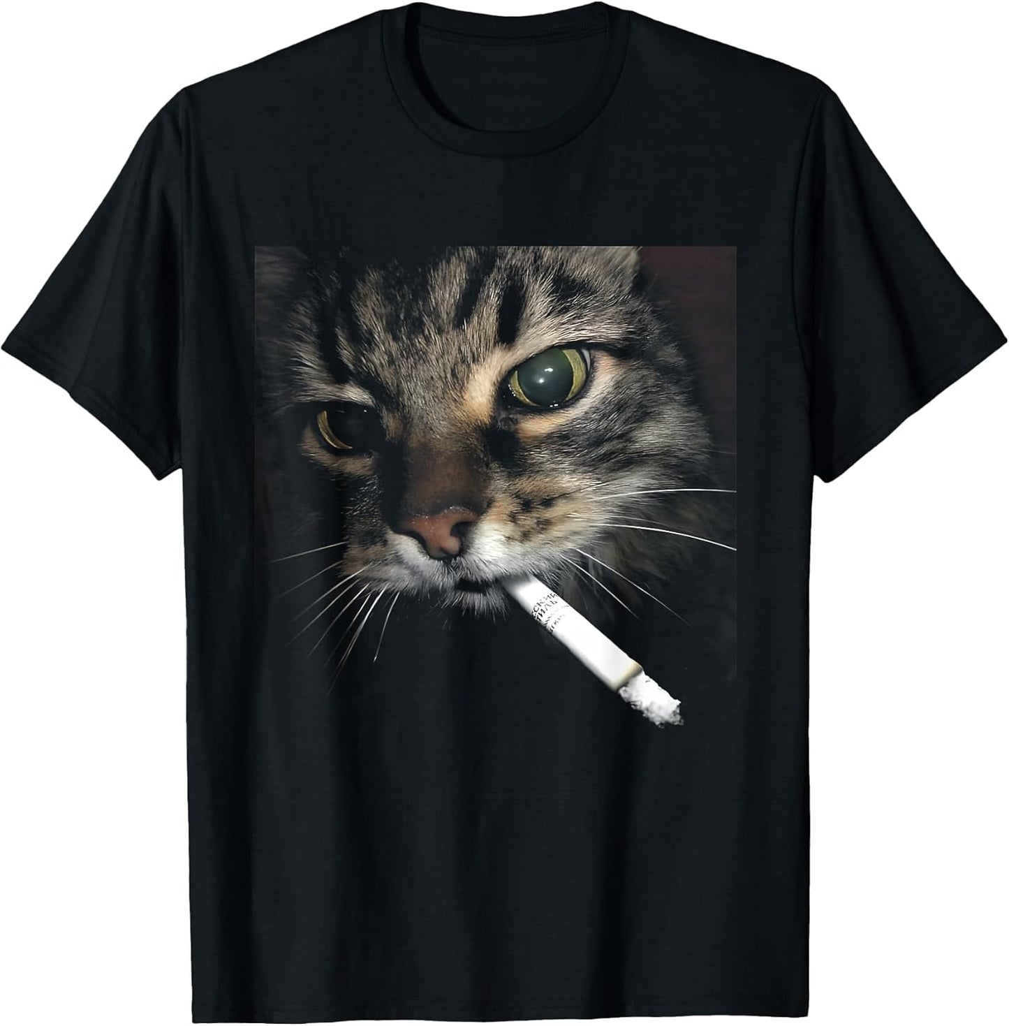 Cat Photo