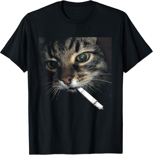 Cat Photo