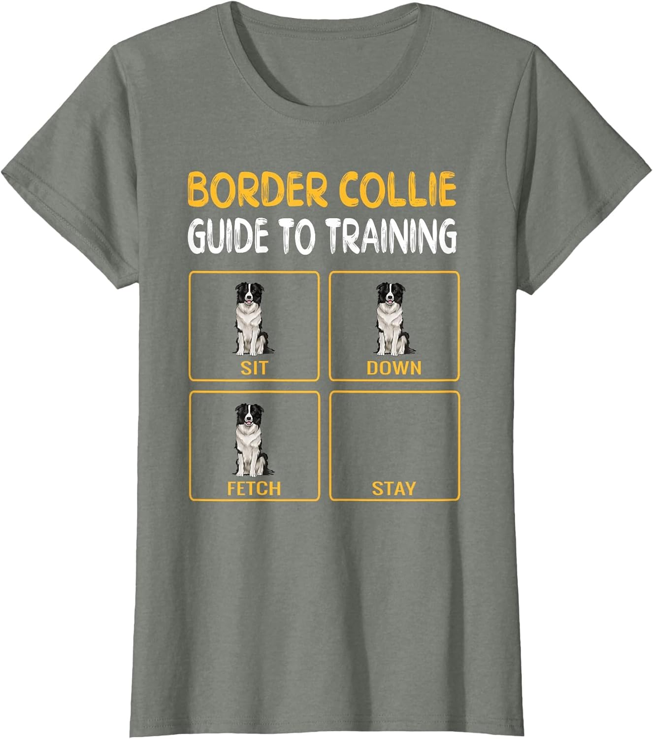 Funny Border Collie Guide to Training Dog Obedience Trainer