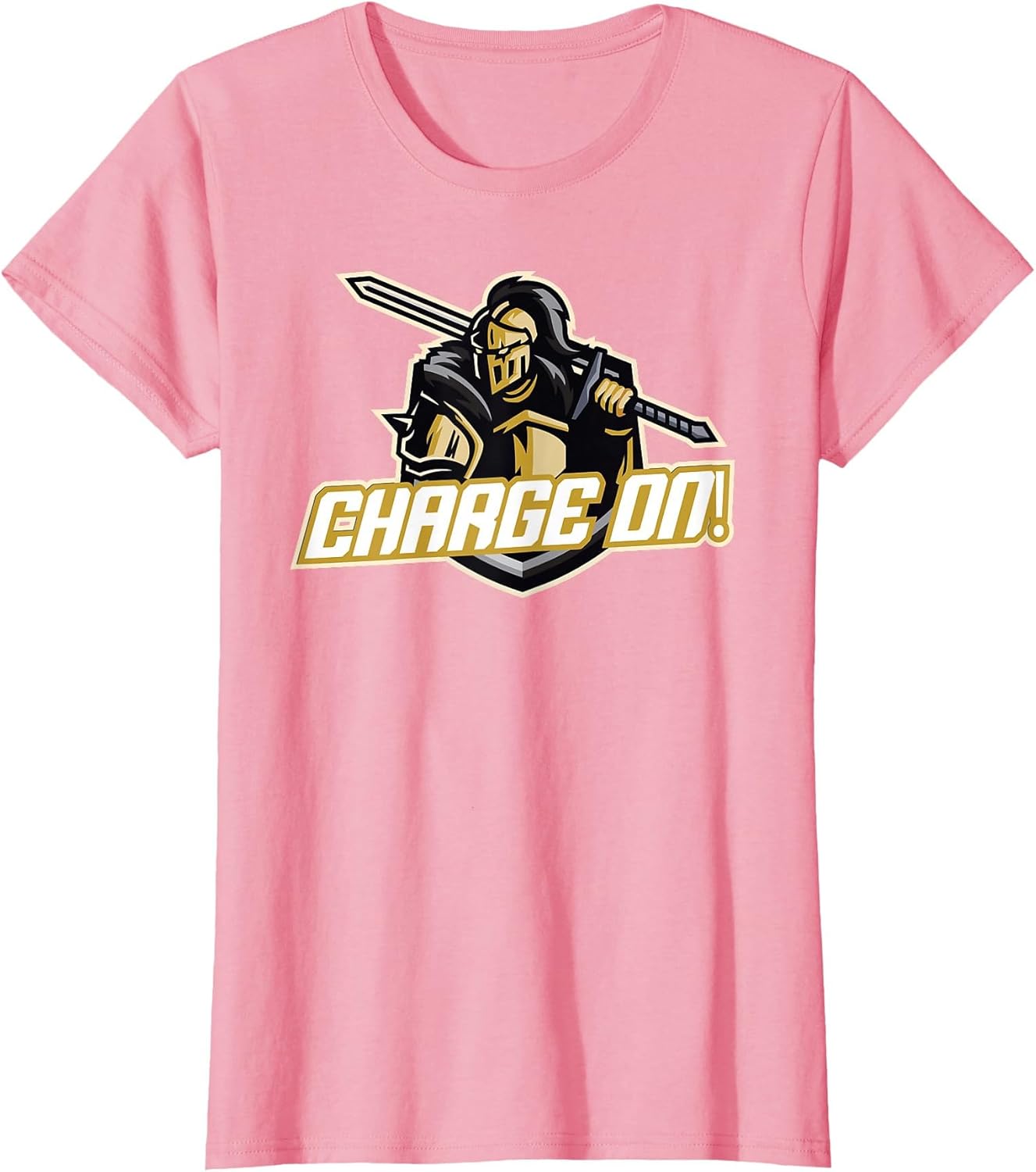 Charge On Florida Knight