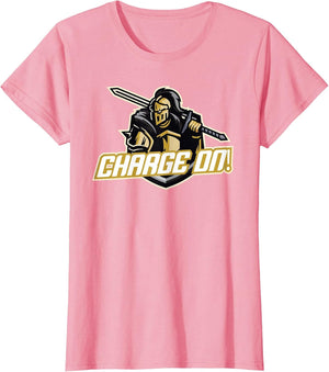 Charge On Florida Knight