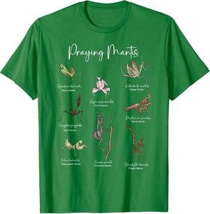 Types of Praying Mantis Insect Collector Entomologist