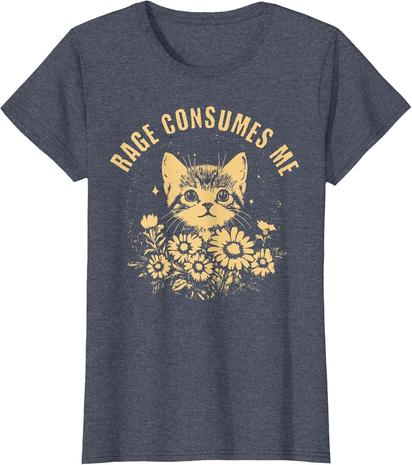Rage Consumes Me Cute Cat Meme