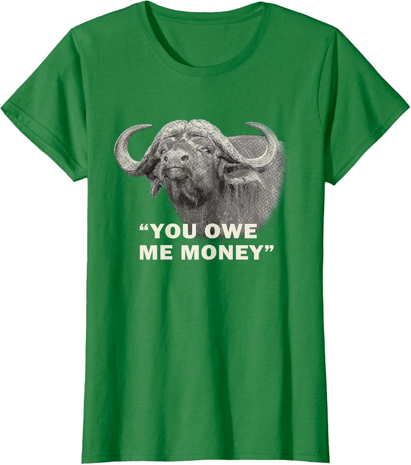 Cape Buffalo Bull You Owe Me Money Africa Safari