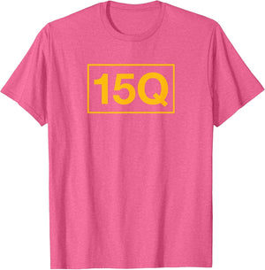 15Q Air Traffic Control Operator