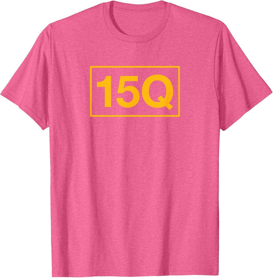 15Q Air Traffic Control Operator
