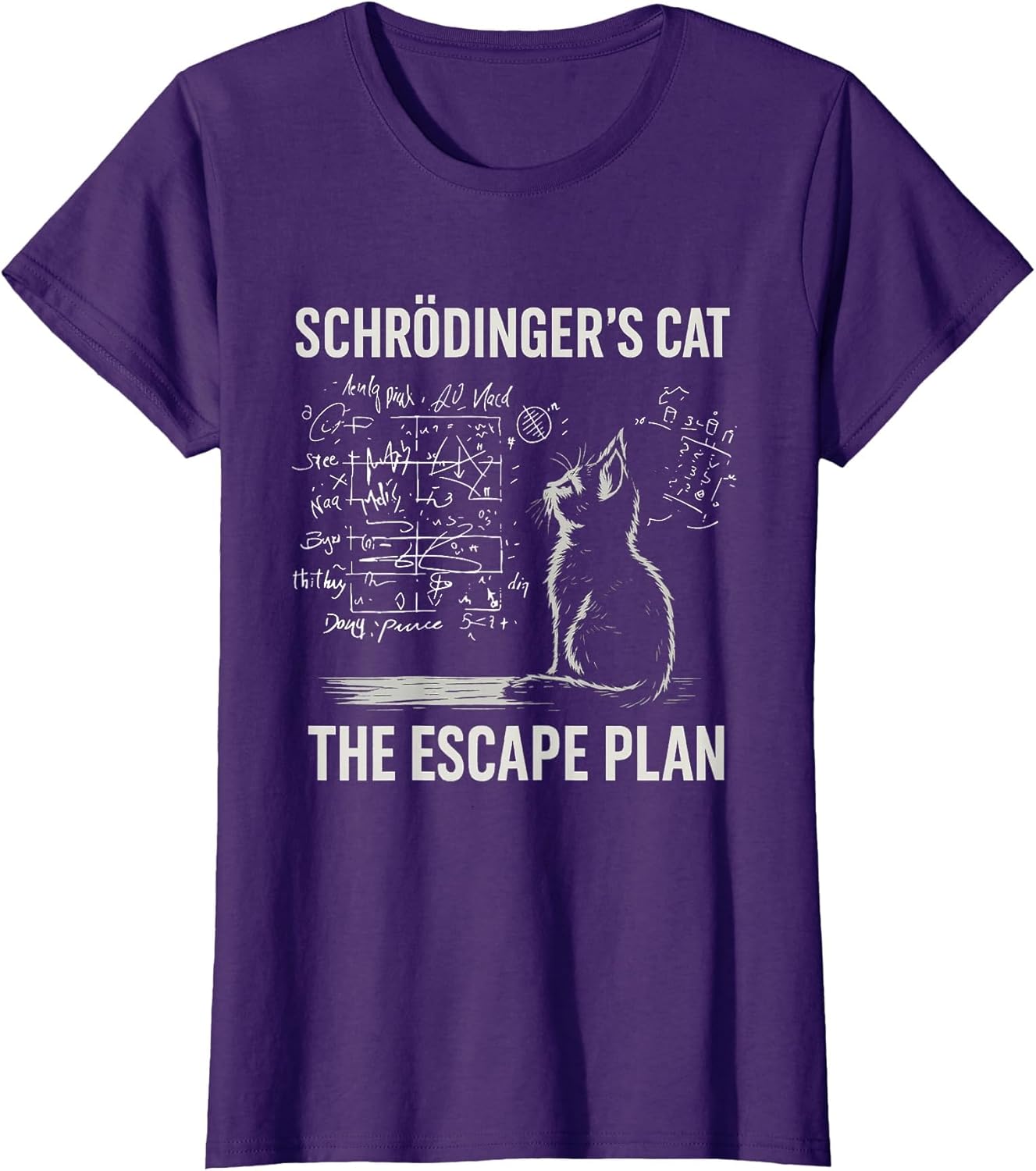 Schrödingers Cat The Escape Plan Funny Science Teacher