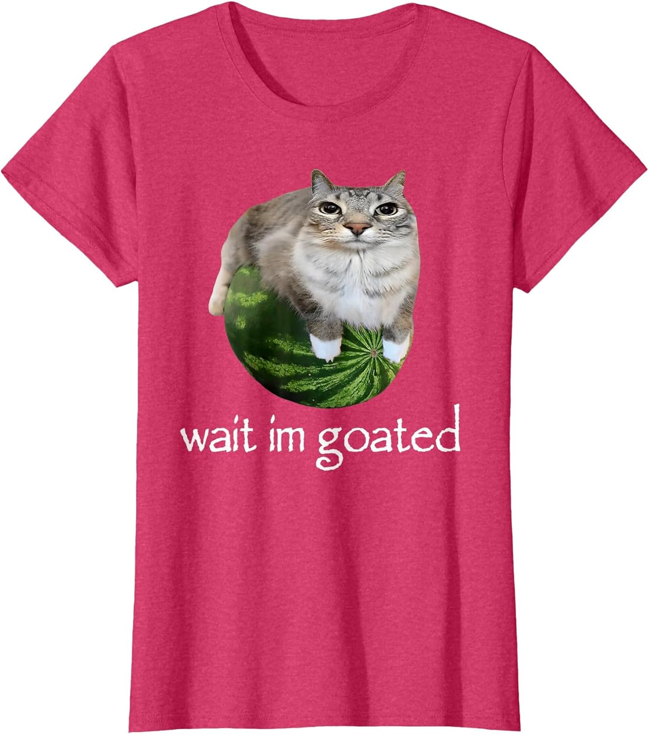 Wait I'm Goated Cat Meme Funny Watermelon Silly Cat Humor