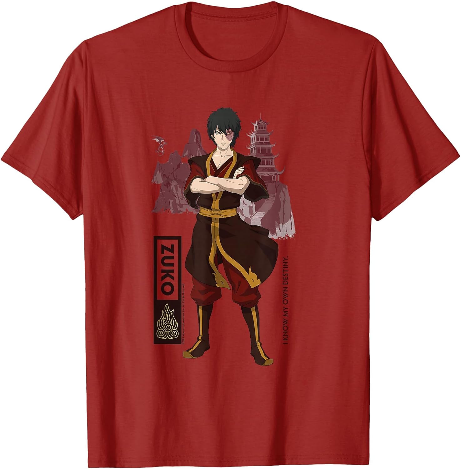 Avatar The Last Airbender Zuko Fire Destiny Quote
