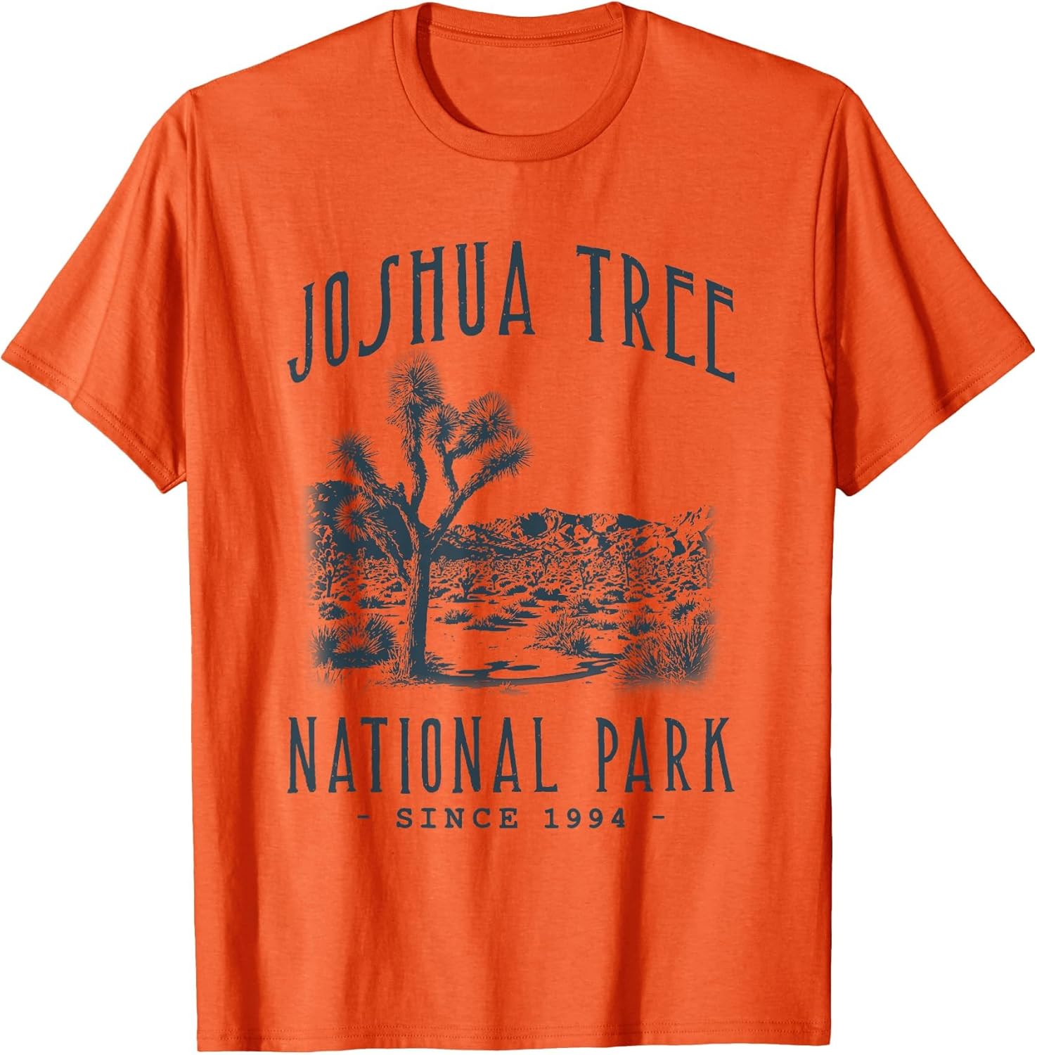 Joshua Tree National Park, California. Camping, Hiker