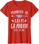 Promoted to Great Grandma Est 2026 New Great Grandmother