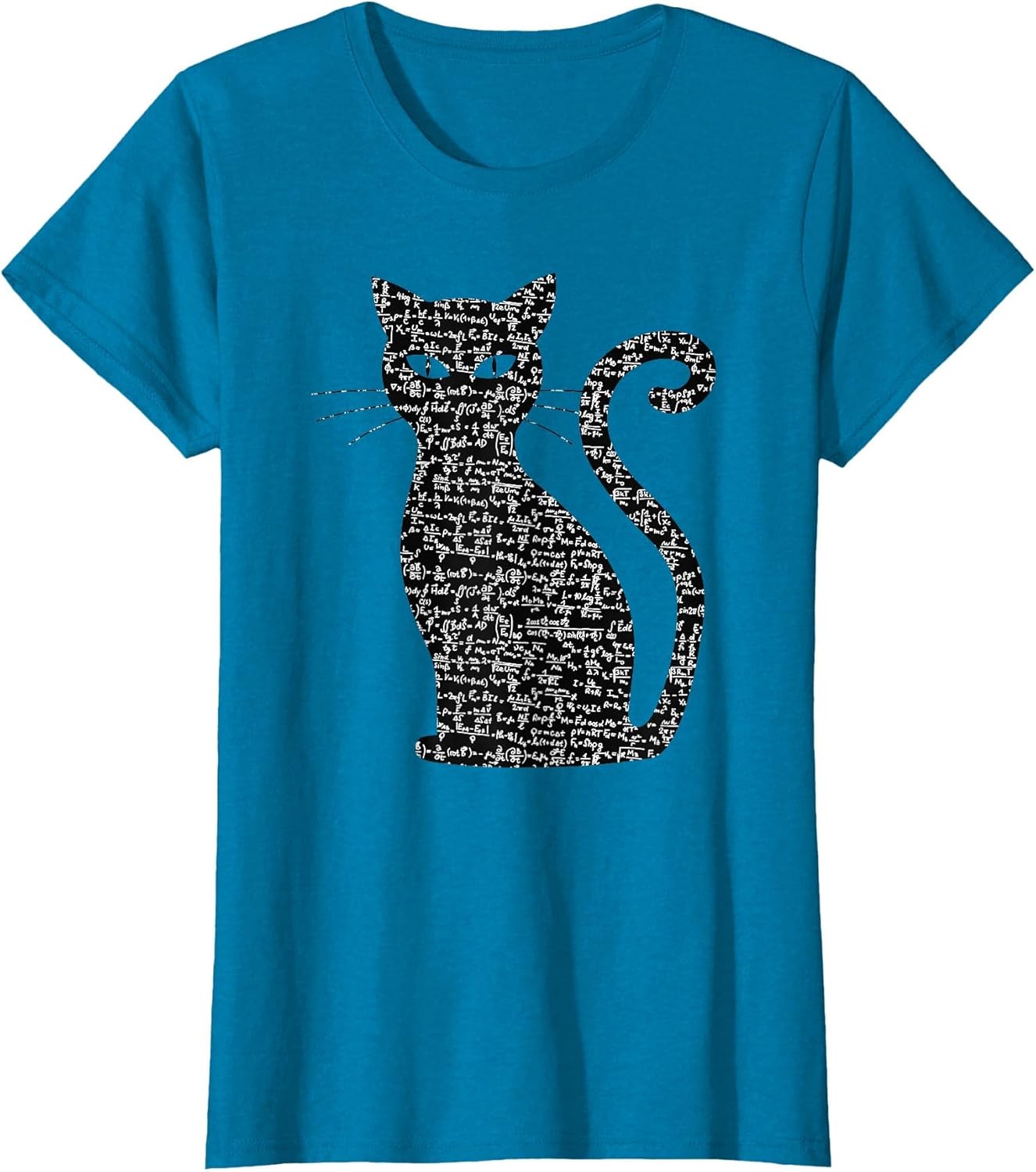Quantum Mechanics Science Schrodingers Cat