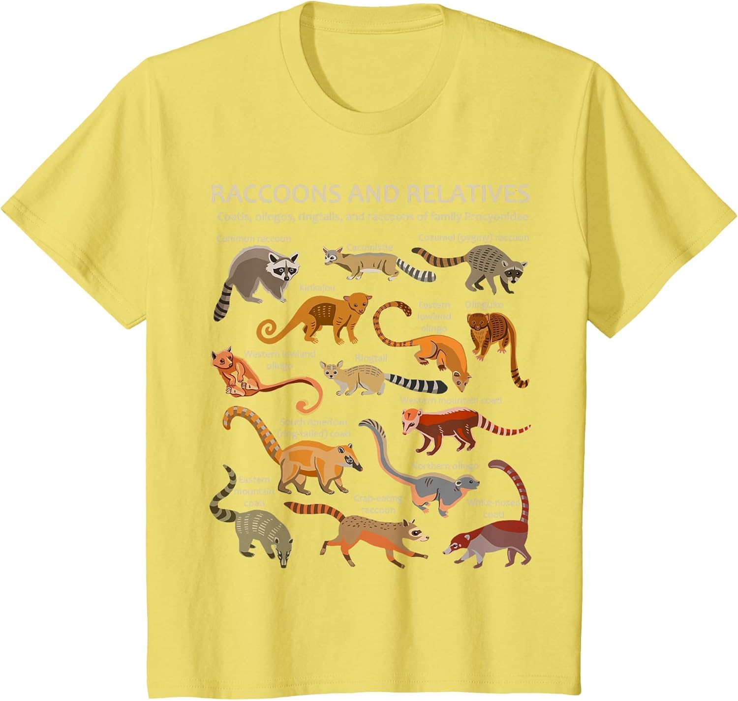 Raccoons and Relatives: Coati, Ringtail, Kinkajou, and More