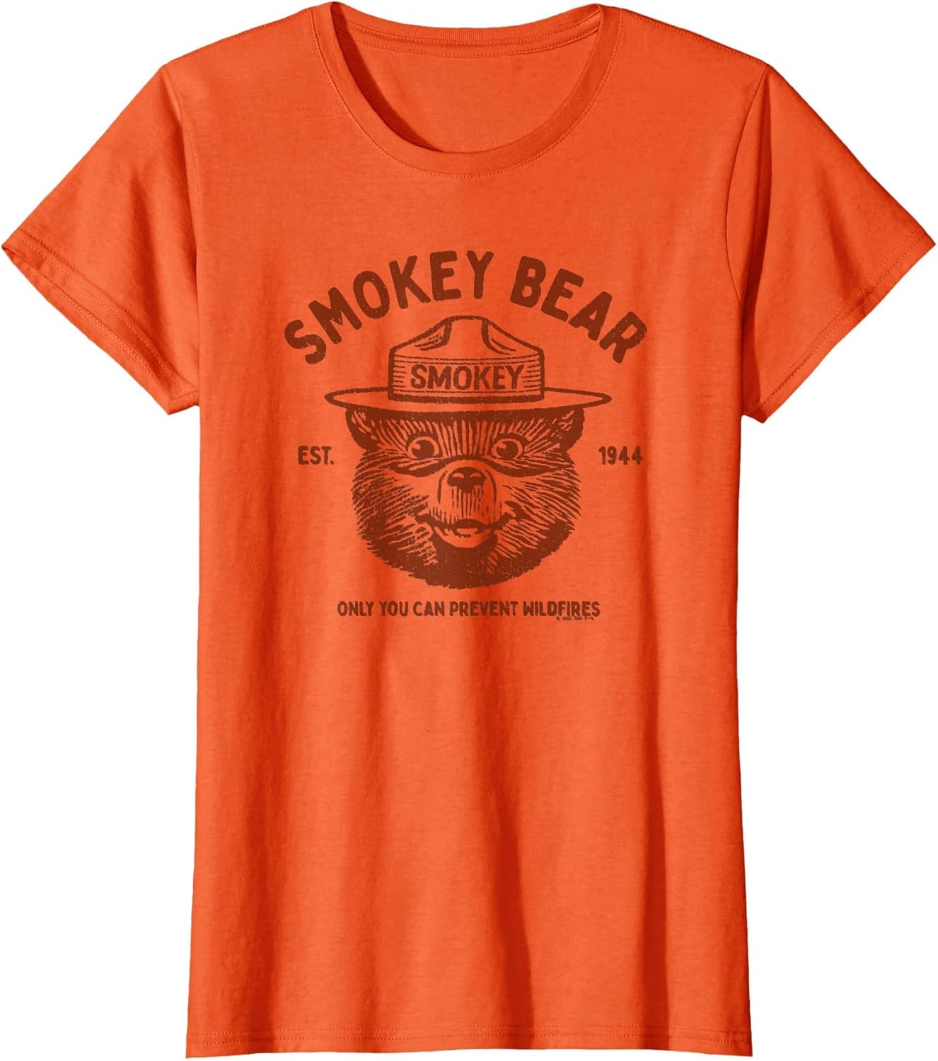 Vintage Smokey Bear Logo Only You Can Prevent Wildfires