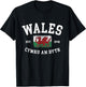 Wales Flag Cymru Am Byth Welsh Dragon Banner Welshman