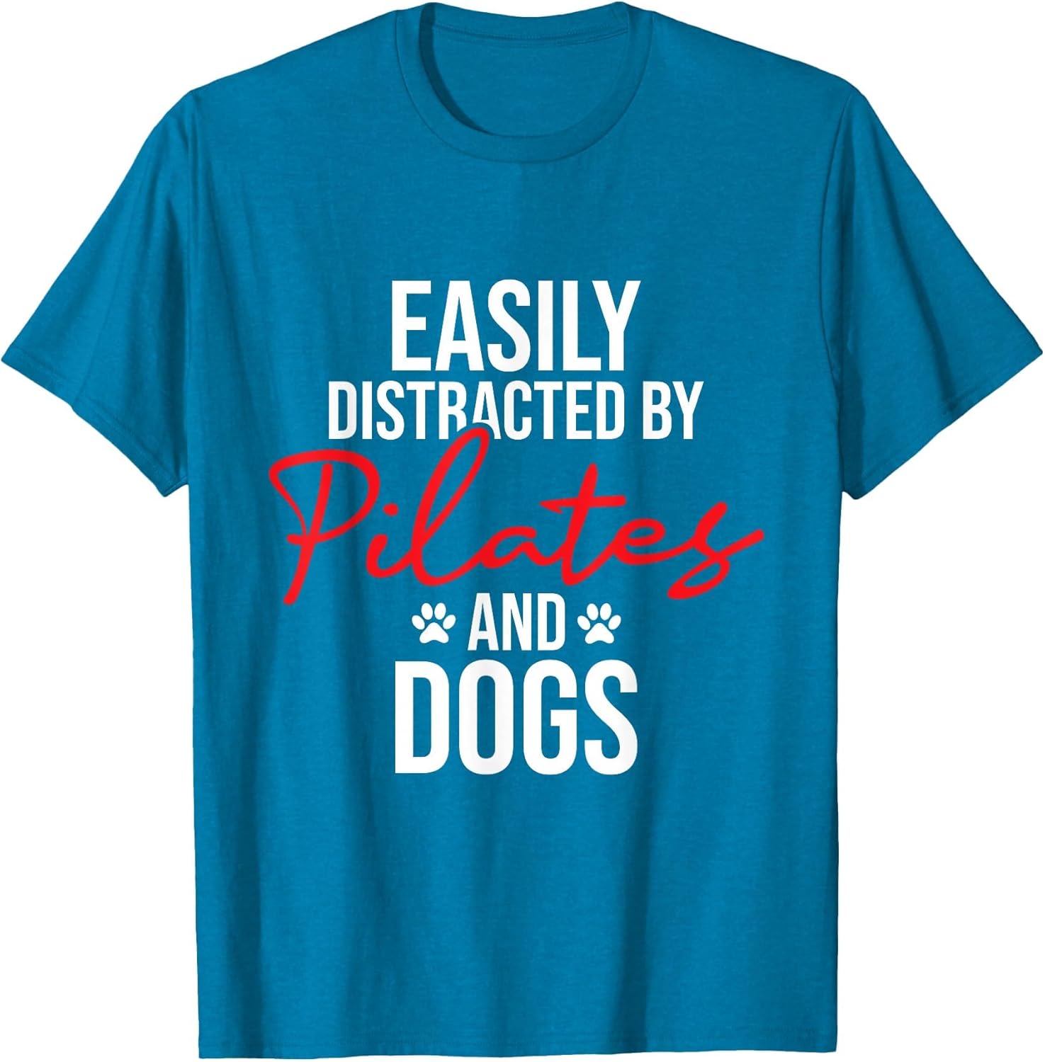 Easily Distracted by Pilates & Dogs - Fitness Coach Workout