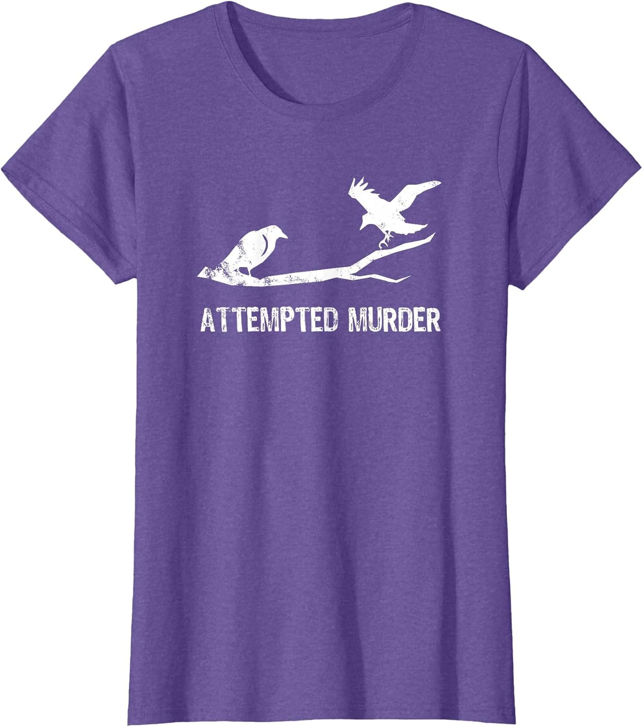 Ornithology Crows Grunge Literary Readers