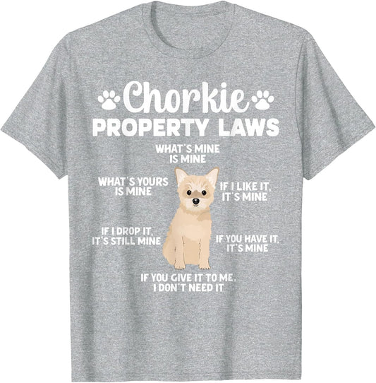 Chorkie Property Laws Chorkie Lover Chorkie Owner