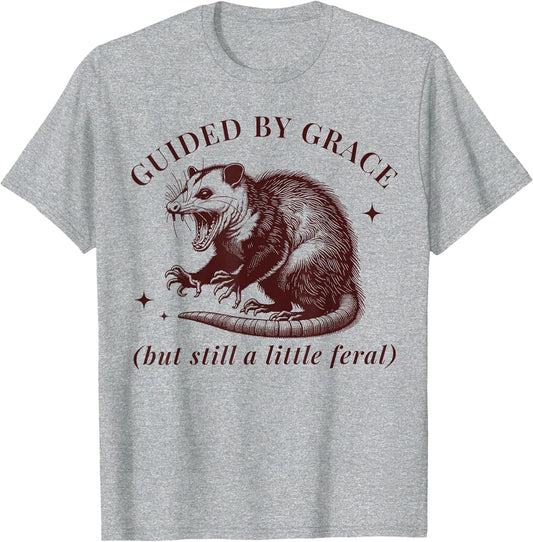 Guided by Grace Funny Possum Christian Feral Bible Saying