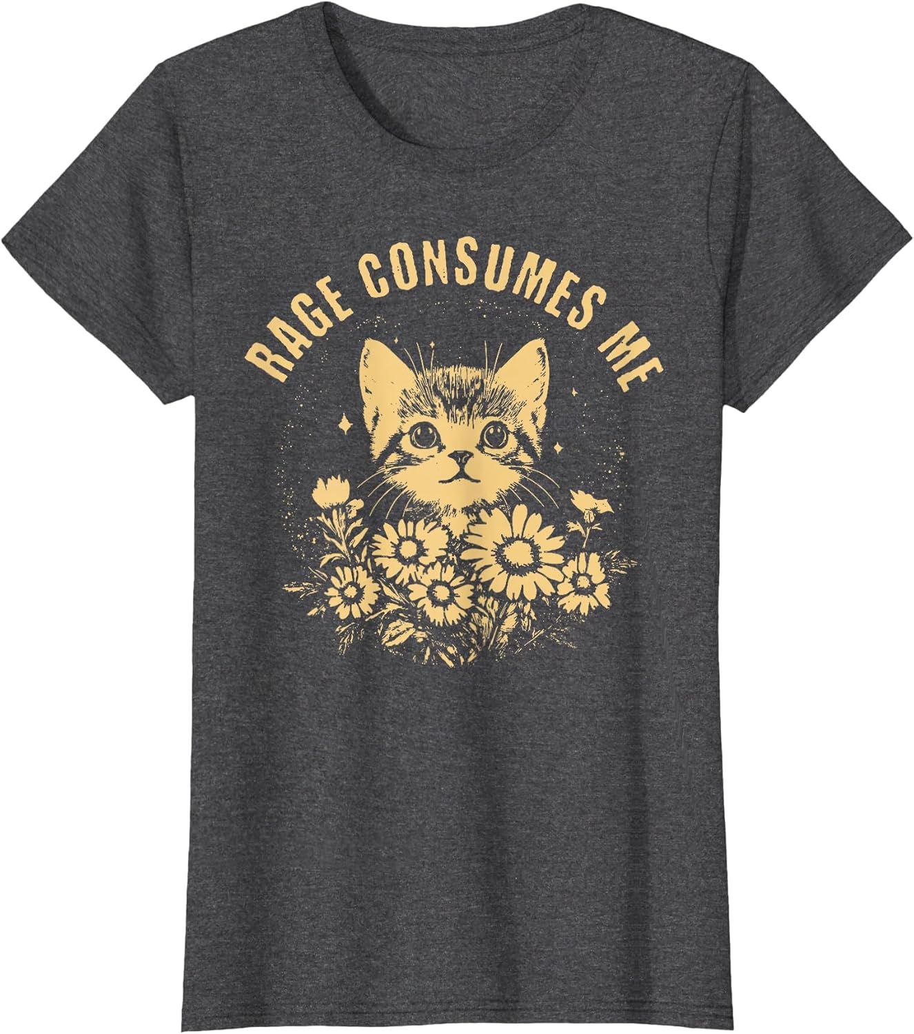 Rage Consumes Me Cute Cat Meme