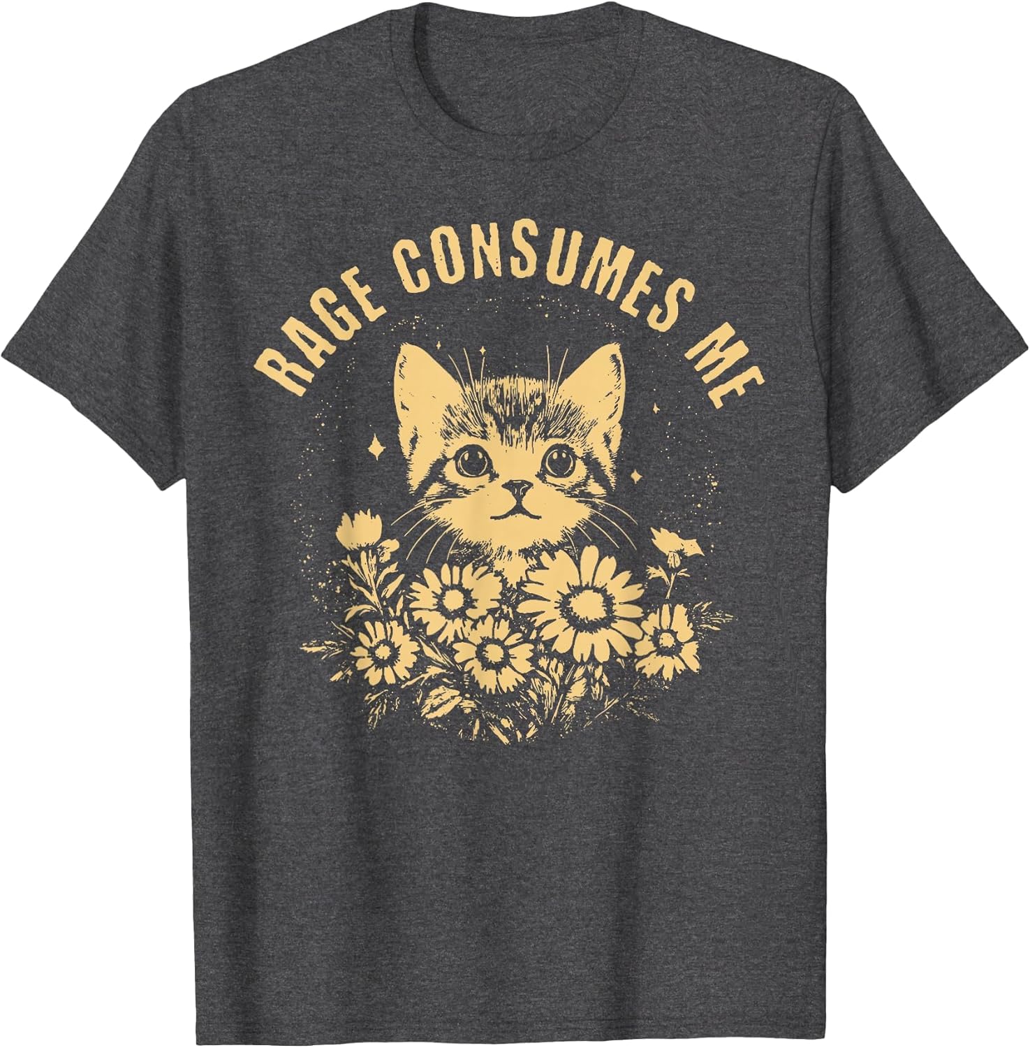 Rage Consumes Me Cute Cat Meme