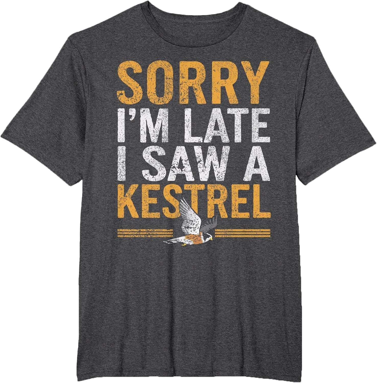 American Kestrel Birder Birdwatching Birding Kestrel
