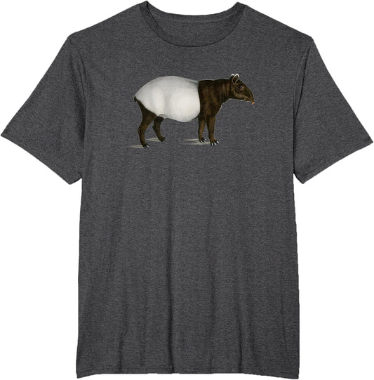 Vintage Malayan Tapir Art Charles Dessalines D'orbigny