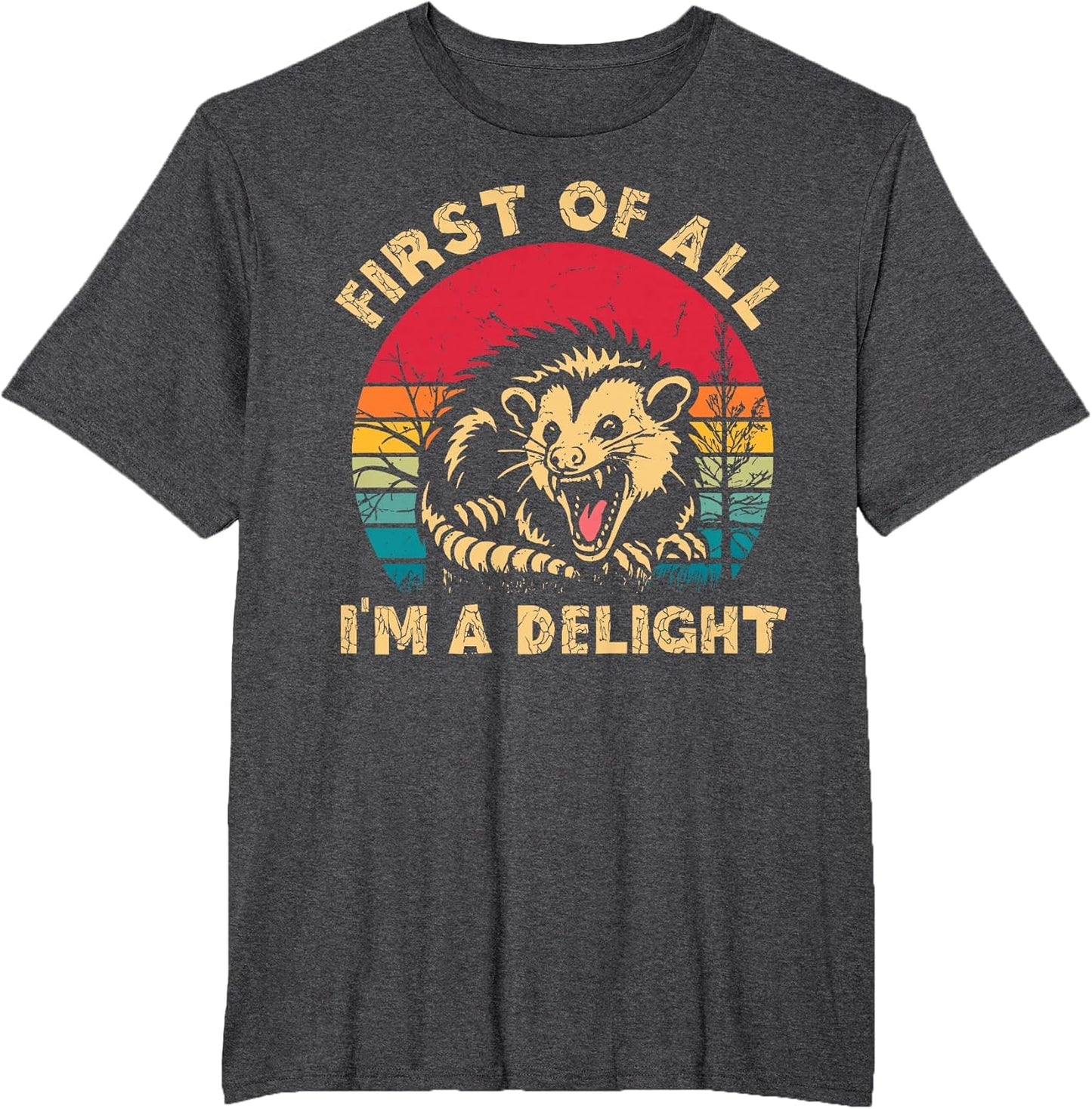Vintage First of All I'm A Delight Angry Possum Trash Panda