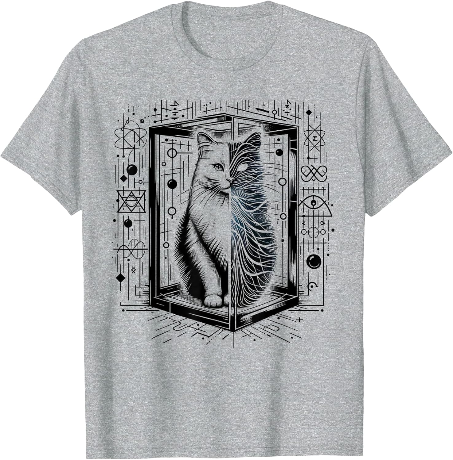 Funny Physics Schrödinger's cat in a Box Quantum Physics