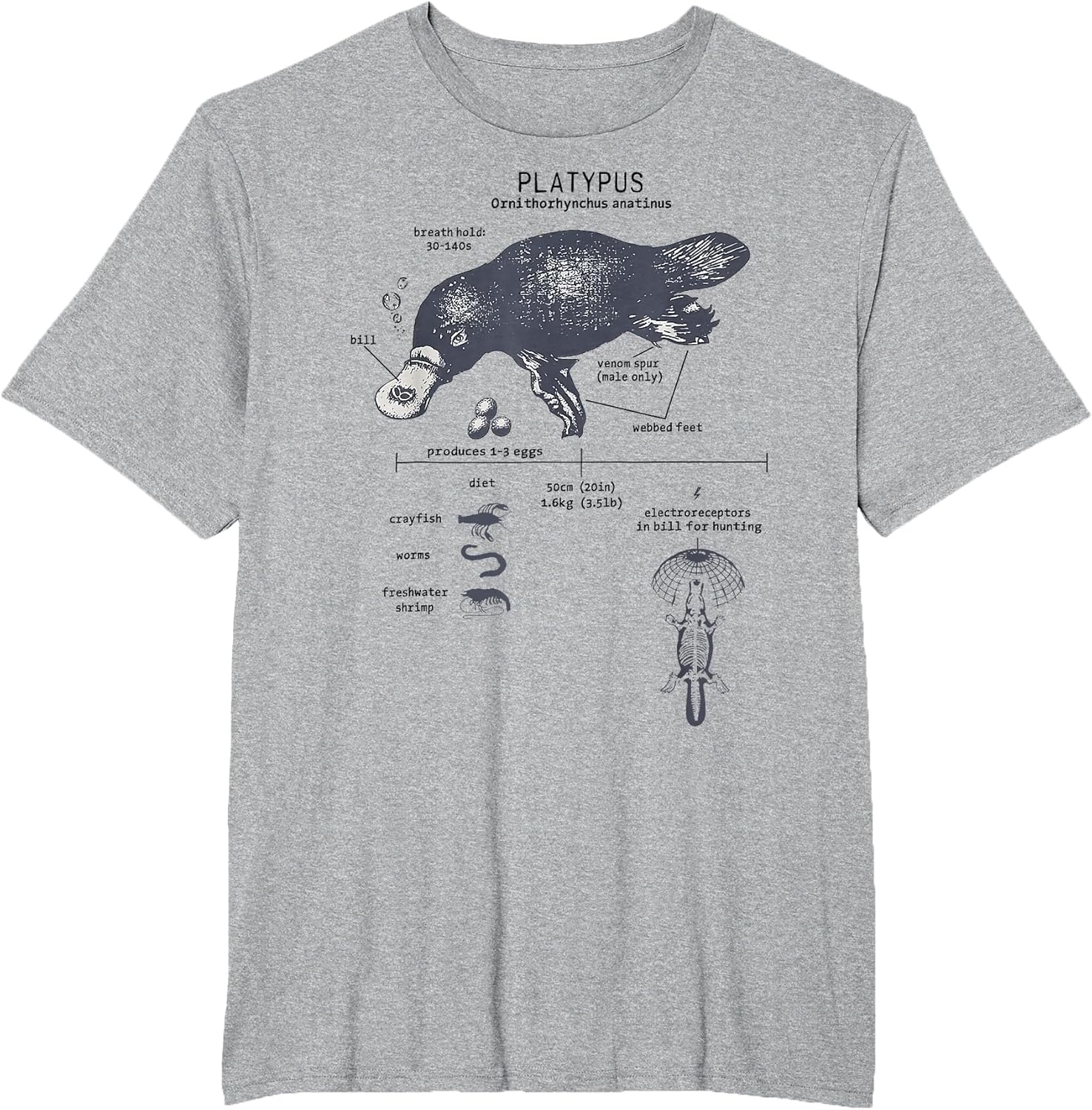 Funny Platypus Anatomy Diagram Science Lover