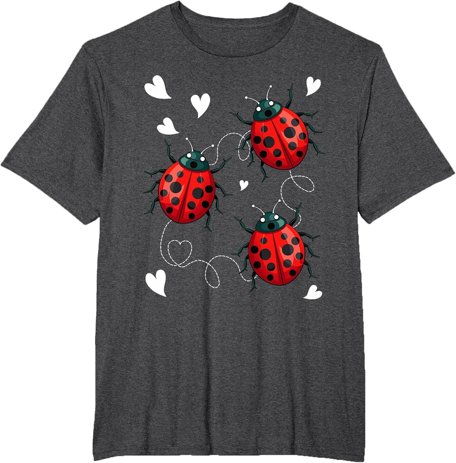 Ladybug Ladybugs Ladybug