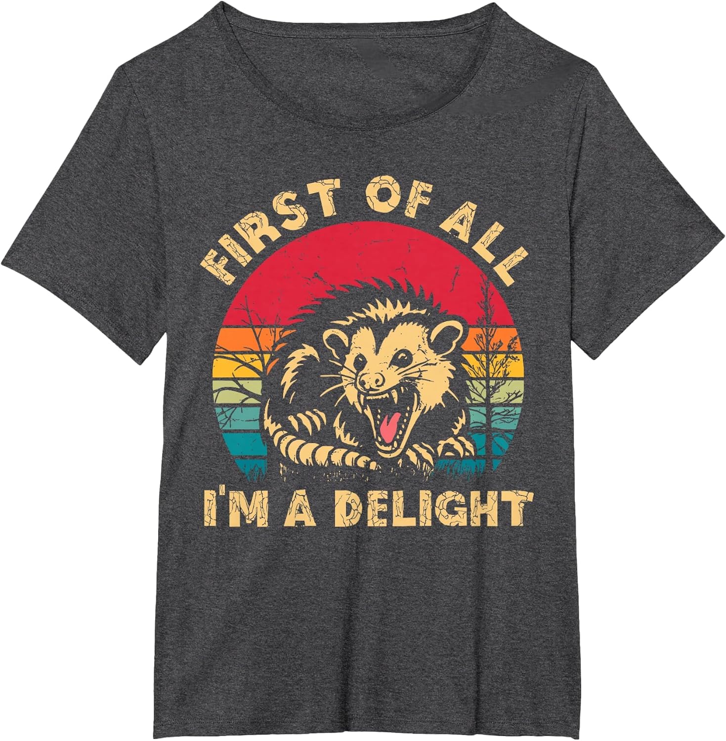 Vintage First of All I'm A Delight Angry Possum Trash Panda