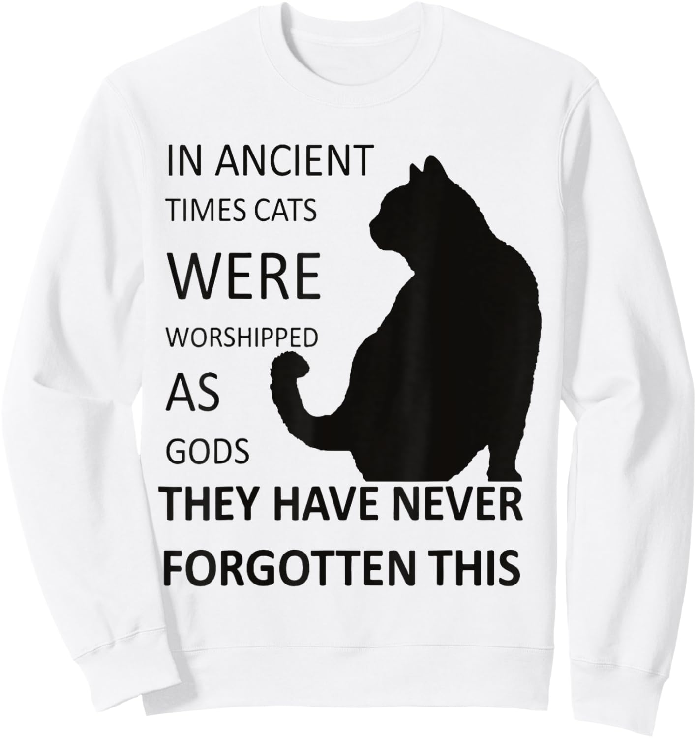 In Ancient Times Cats Were Worshipped As Gods v1 Sweatshirt - Sweatshirt | White