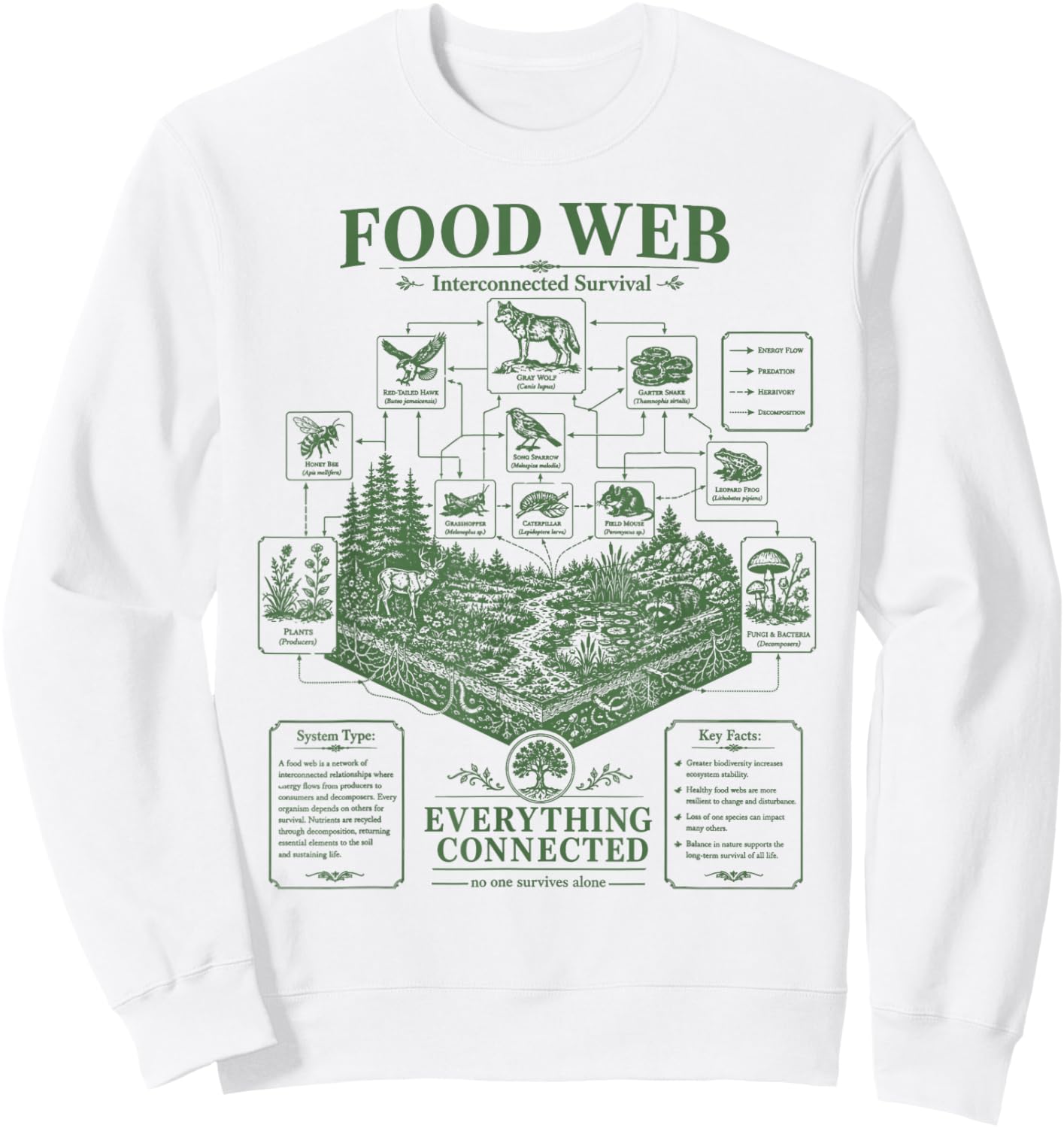 Vintage Science Food Web Diagram Forest Ecosystem Energy Sweatshirt - Sweatshirt | White