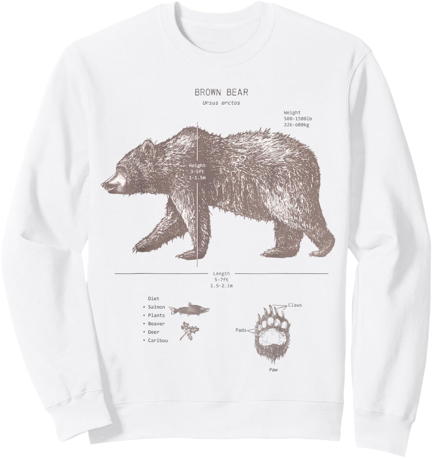 Brown Bear Anatomy Sweatshirt - Sweatshirt | White