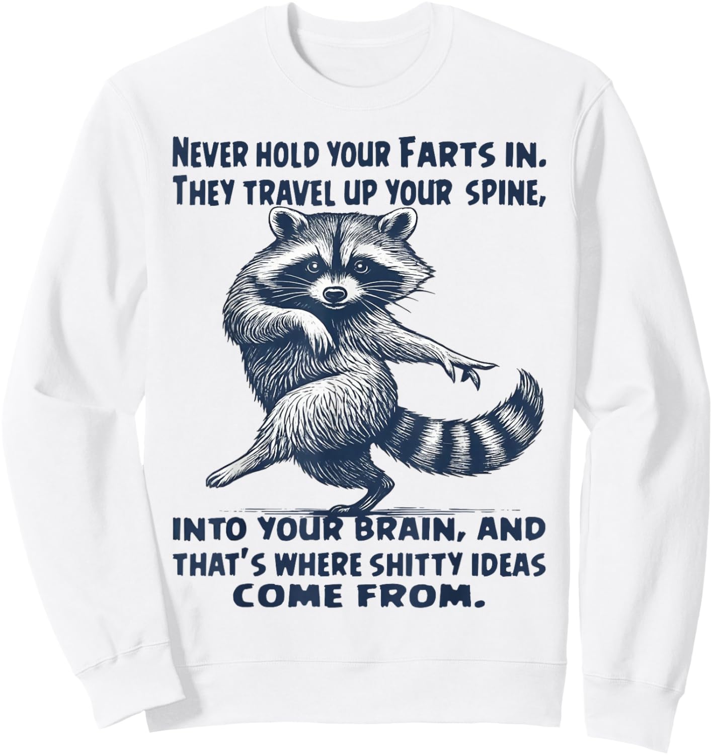 Raccoon Never Hold Your Farts in They Travel Up Your Spine Sweatshirt - Sweatshirt | White