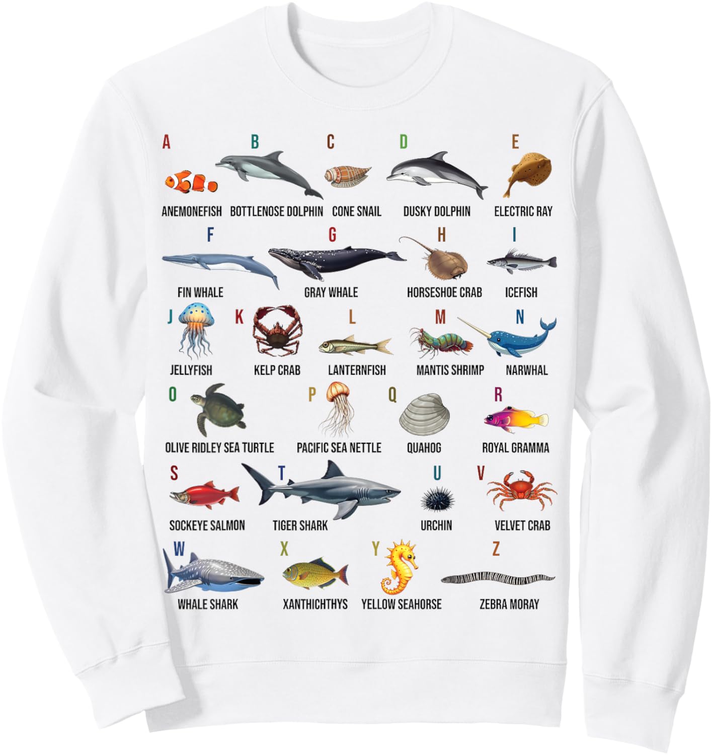 A-Z Ocean Life Alphabet Marine Creatures Exploration Sweatshirt - Sweatshirt | White