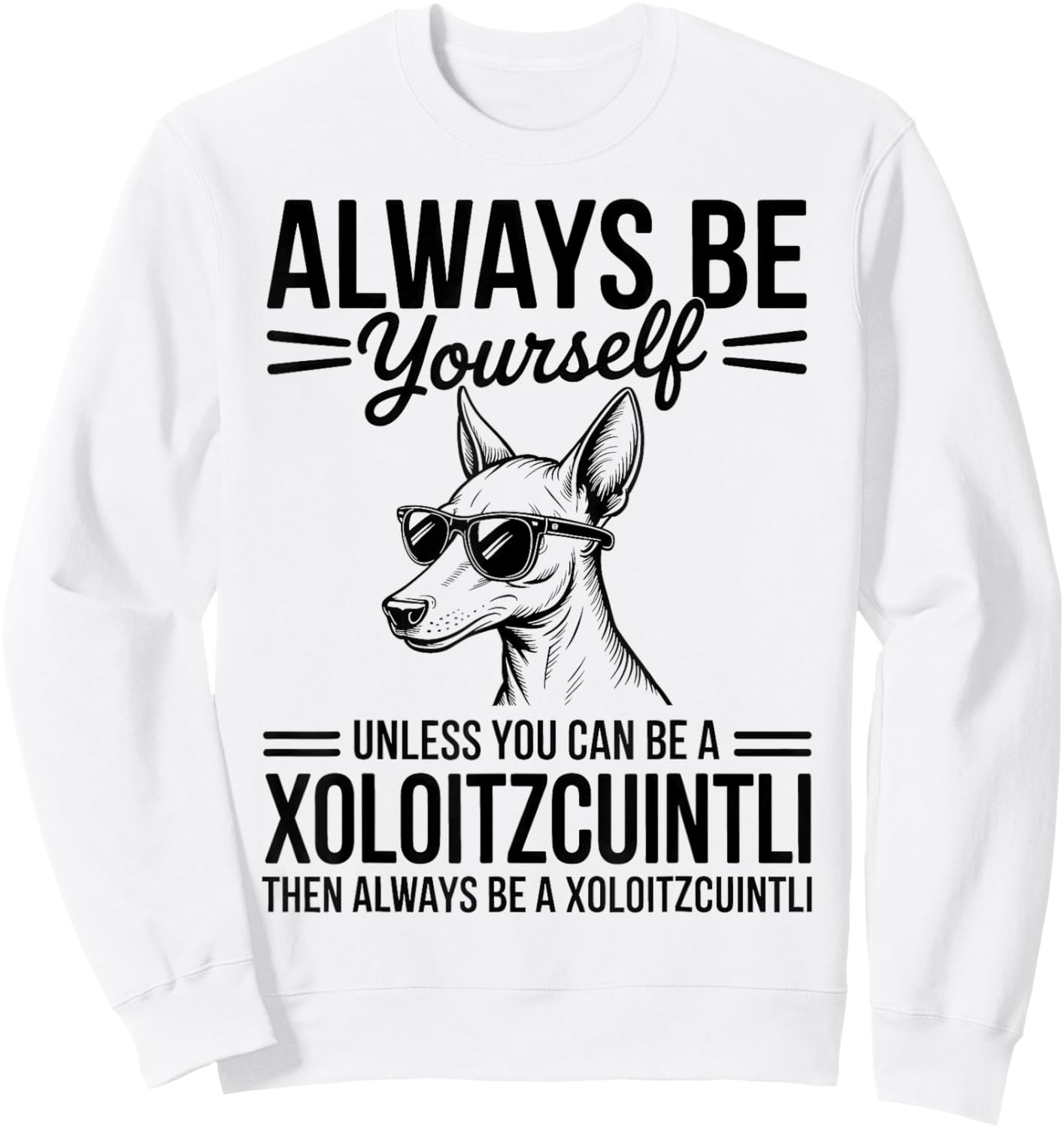 Be A Xoloitzcuintli Dog Funny Xoloitzcuintli Sweatshirt - Sweatshirt | White