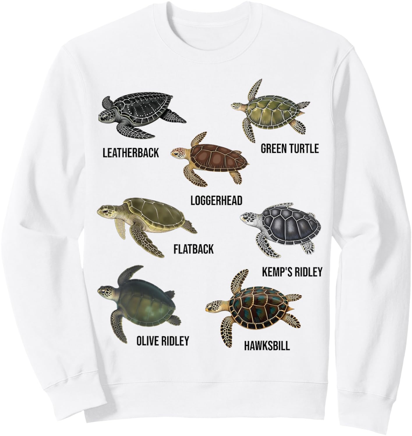 Types of Sea Turtles Marine Turtle Species Educational Chart Sweatshirt - Sweatshirt | White