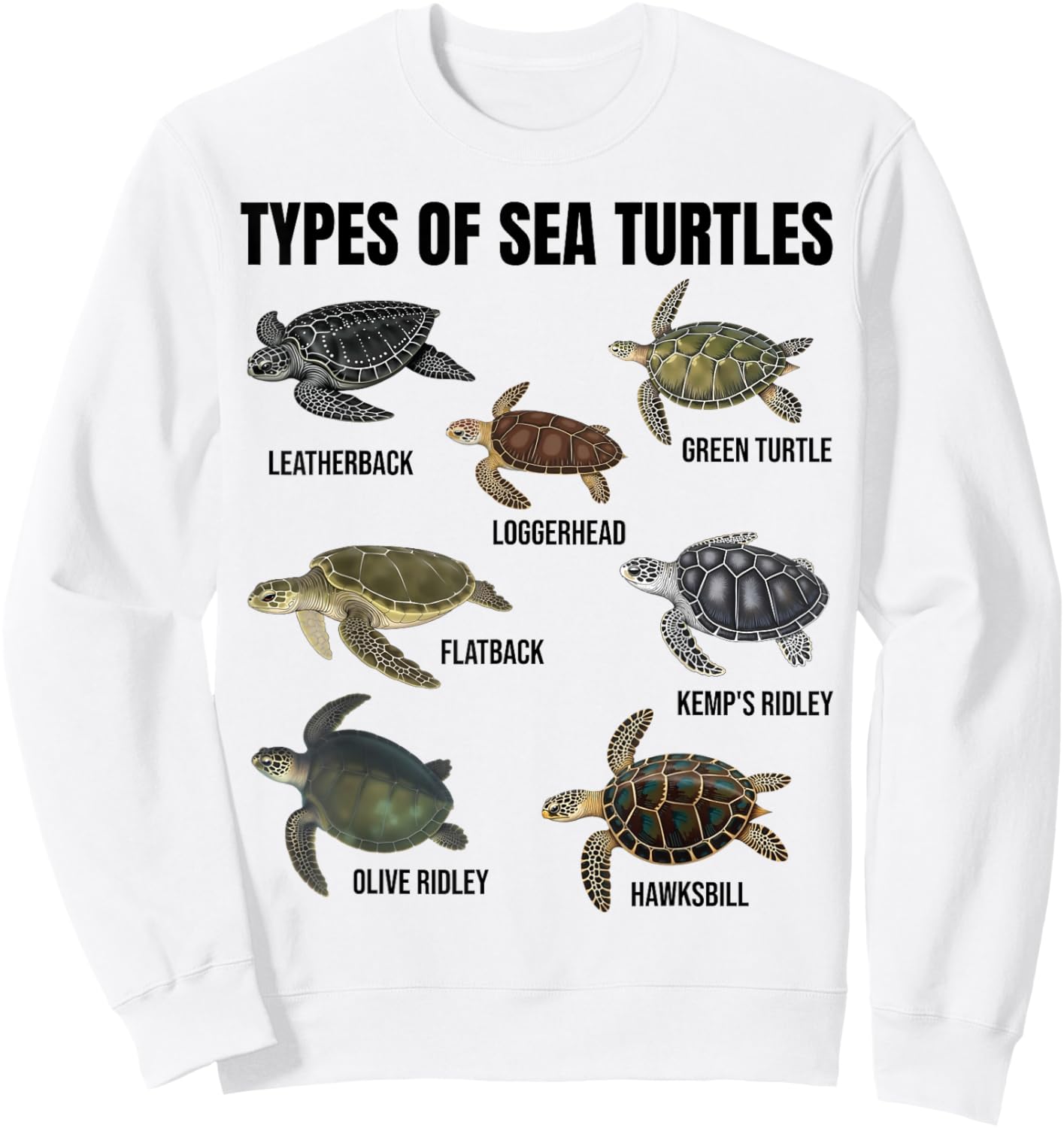 Types of Sea Turtles Marine Turtle Species Educational Chart Sweatshirt - Sweatshirt | White