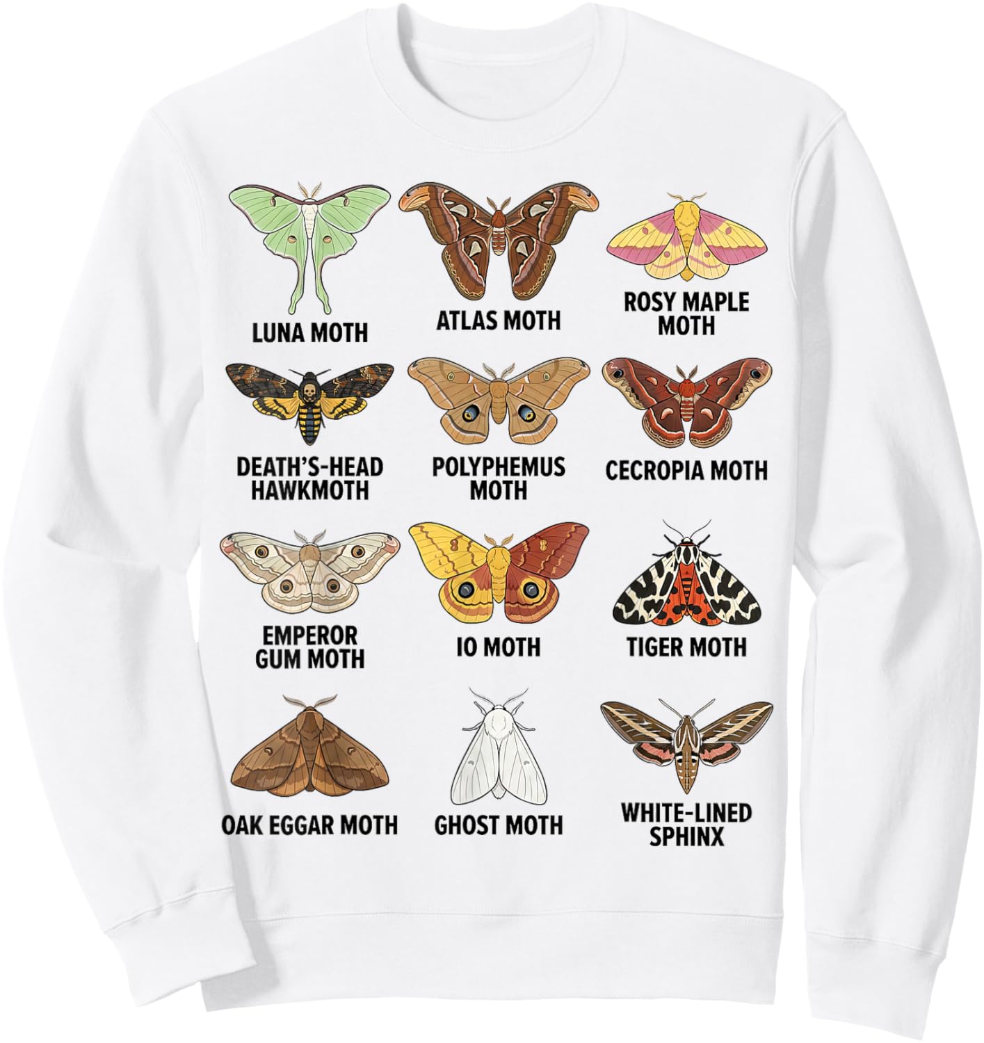 Types of Moths Scientific Educational Insect Chart Sweatshirt - Sweatshirt | White