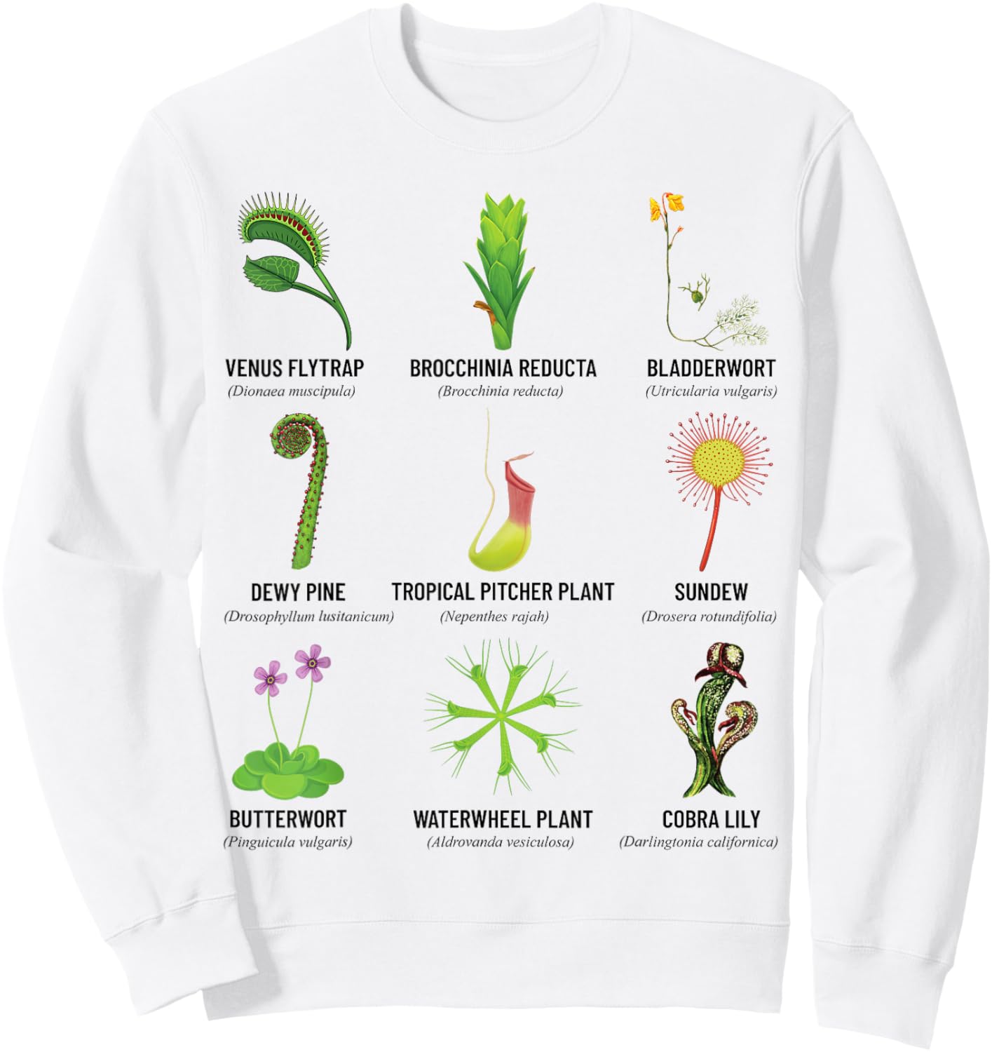 Carnivorous Plants Chart Venus Flytrap, Pitcher Plant Sweatshirt - Sweatshirt | White