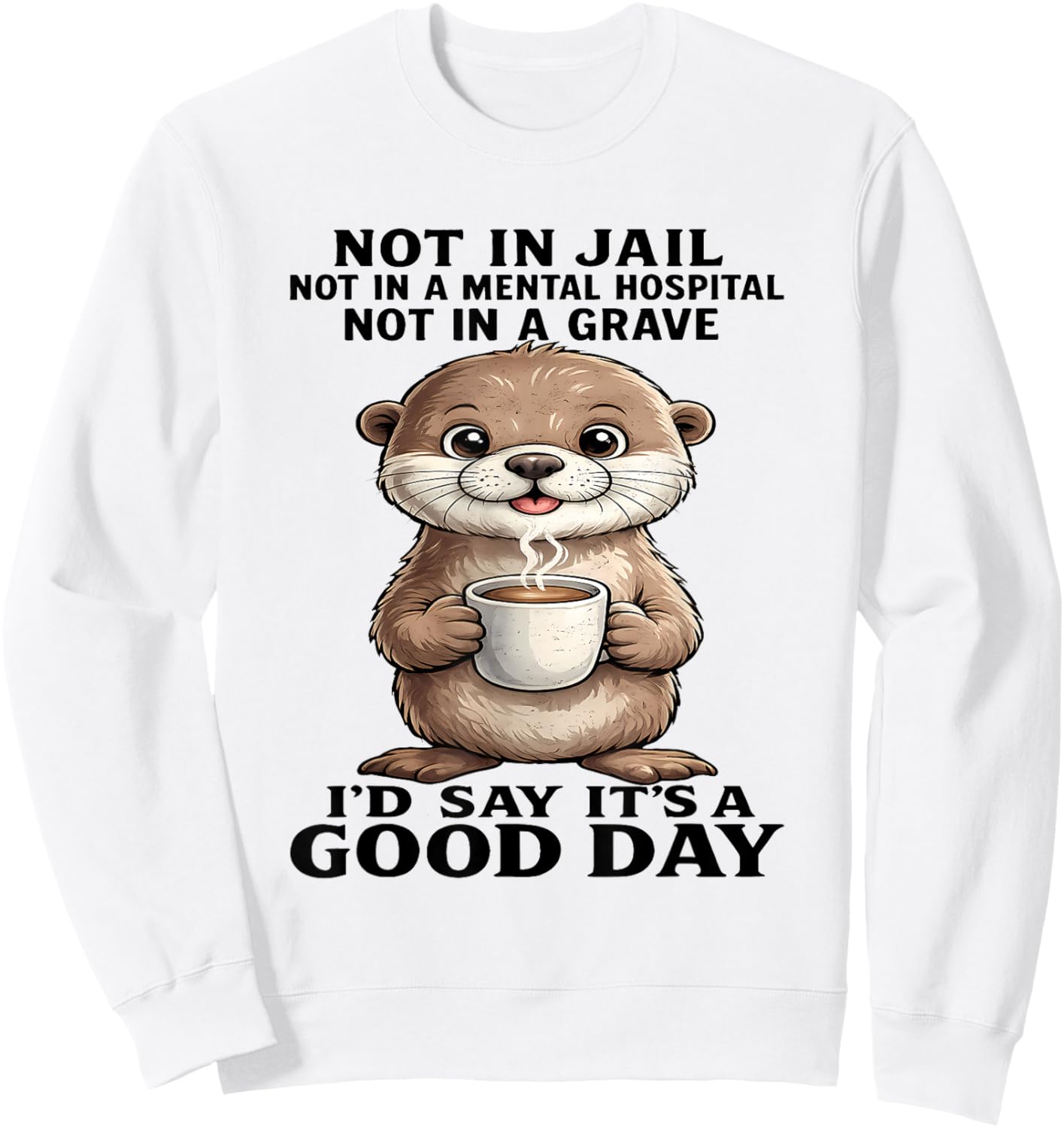 Otter Not in Jail Not in A Mental Hospital Not in A Grave Sweatshirt - Sweatshirt | White