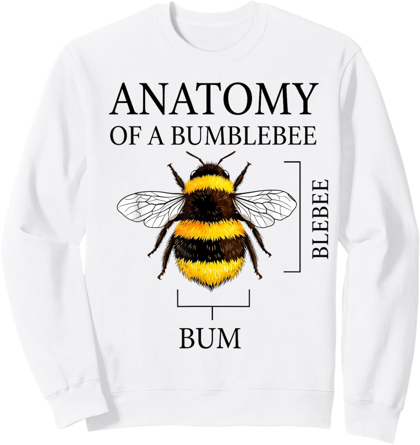 Anatomy of A Bumblebee Vintage Funny Bee Science Joke Sweatshirt - Sweatshirt | White
