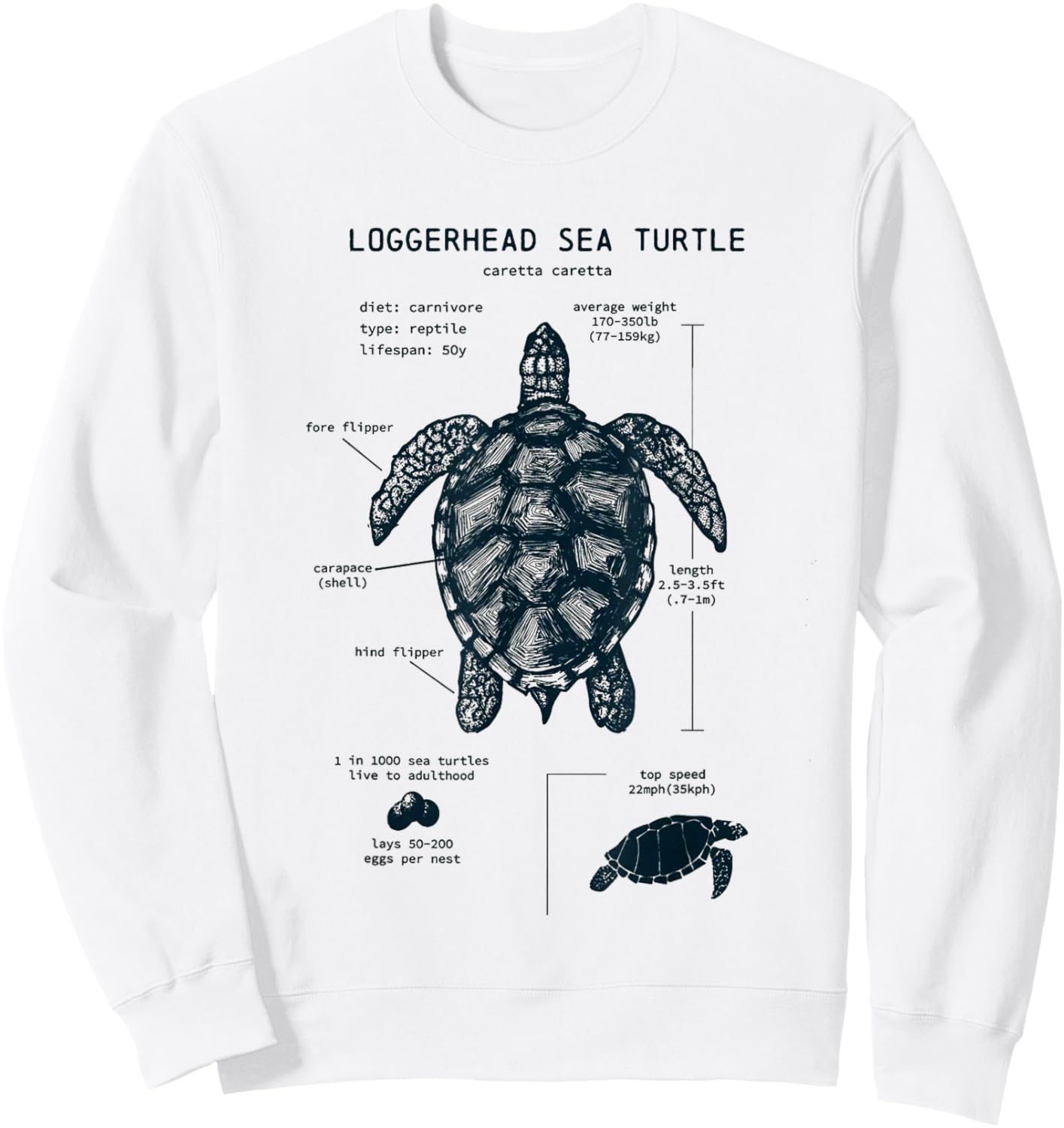 Youth Sea Turtle Anatomy Sweatshirt - Sweatshirt | White