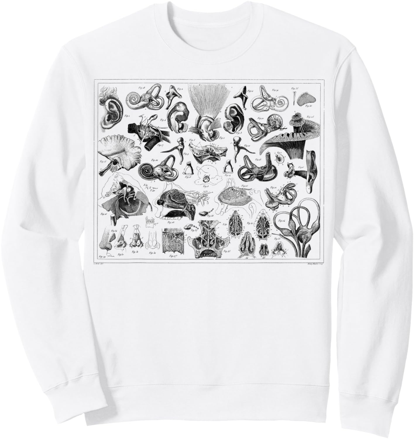 Inner Ear Anatomy Audiology Audiologist Vestibular Therapist Sweatshirt - Sweatshirt | White